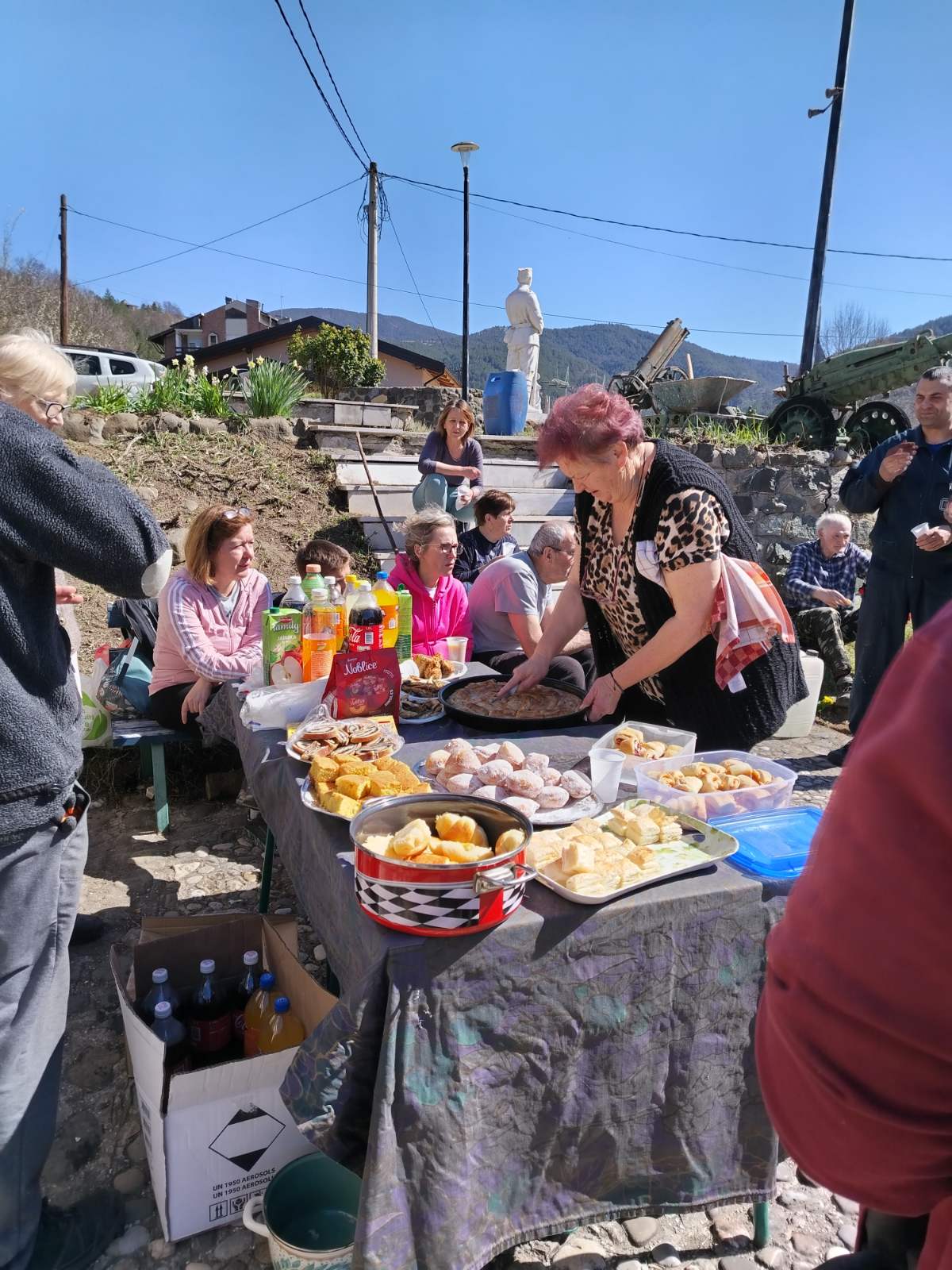 Akcija Buđenje Mokre Gore